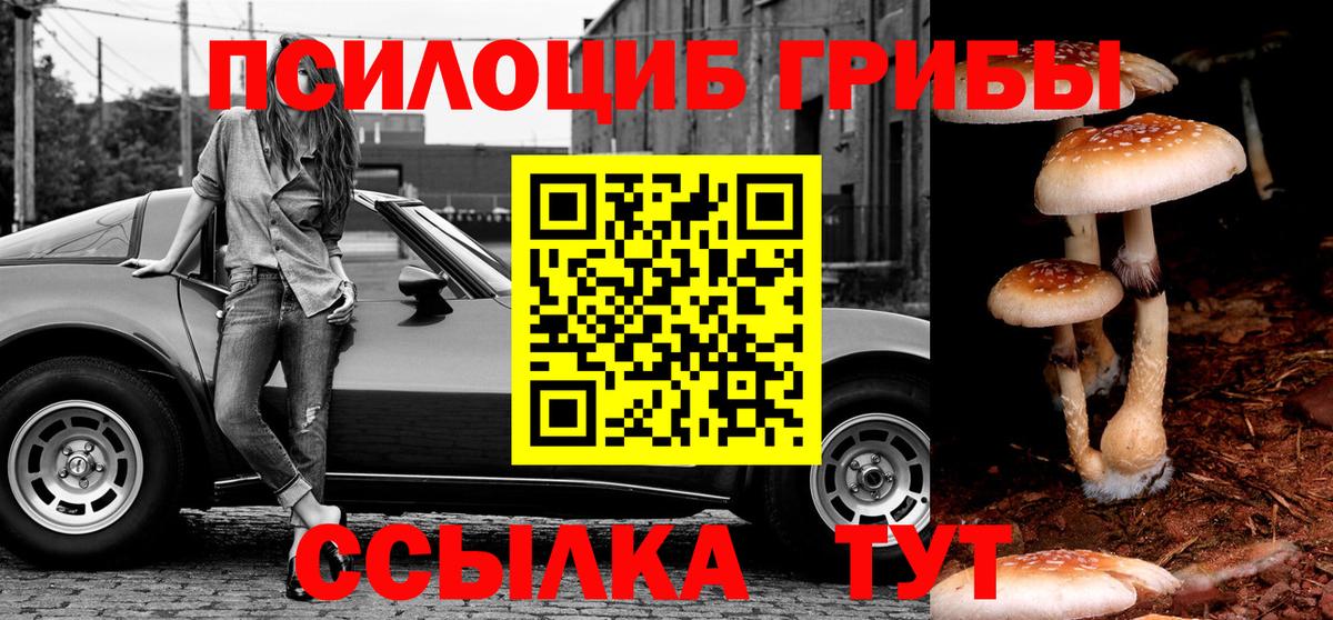 Полевской  Псилоцибиновые грибы мухоморы  Вход с VPN 