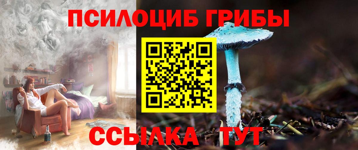 Галлюциногенные грибы GOLDEN TEACHER Полевской